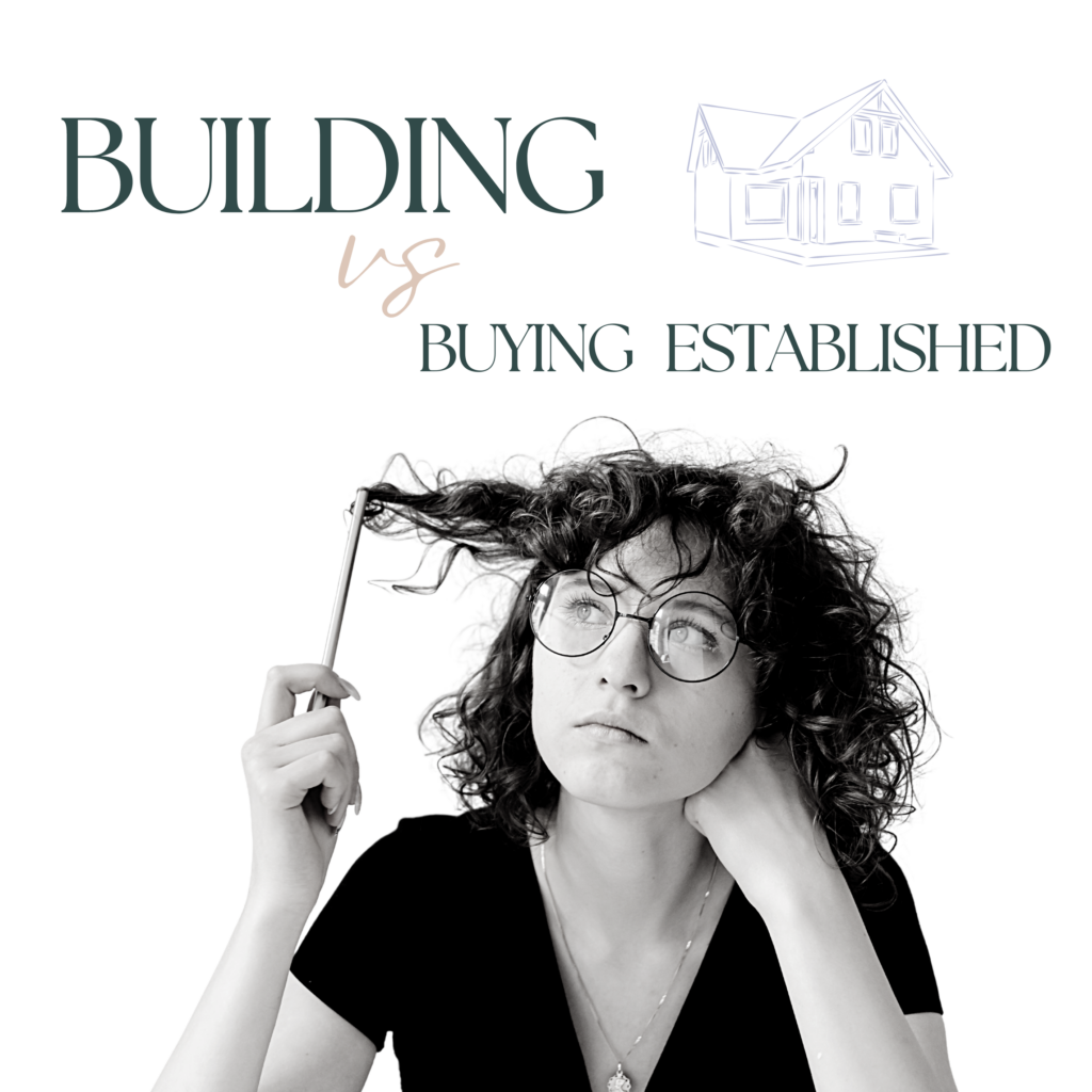 Building Vs Buying Established – The Pro’s & Con’s